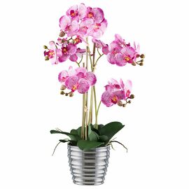 Kunstpflanze Phalaenopsis im Keramiktopf, ca. 62 cm, lila 