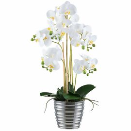 Kunstpflanze Phalaenopsis im Keramiktopf, ca. 62 cm, weiß 