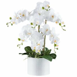 Kunstpflanze Phalaenopsis im Keramiktopf, ca. 60 cm, weiß 