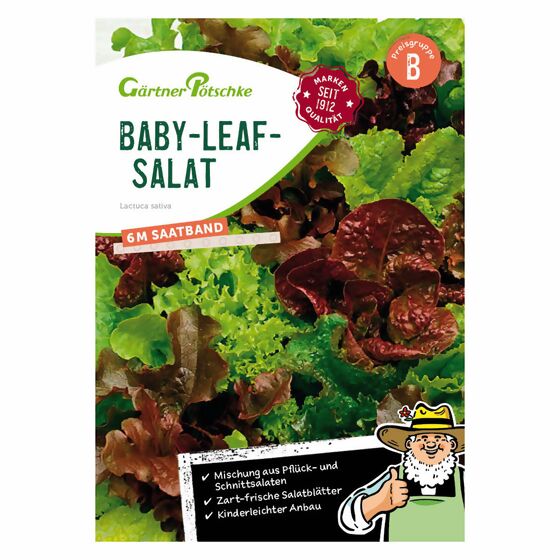 Saatband 6 m Baby-Leaf-Salat
