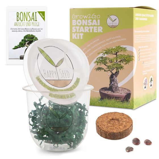 Bonsai Starter Kit Tamarinde Grow2Go