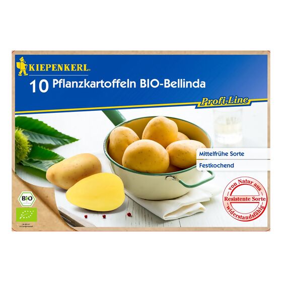 BIO Kartoffel Bellinda, 10 Stück