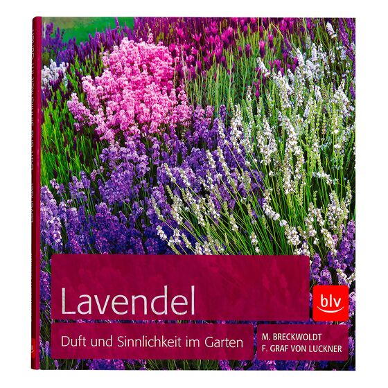 Lavendel: Duft und Sinnlichkeit im Garten