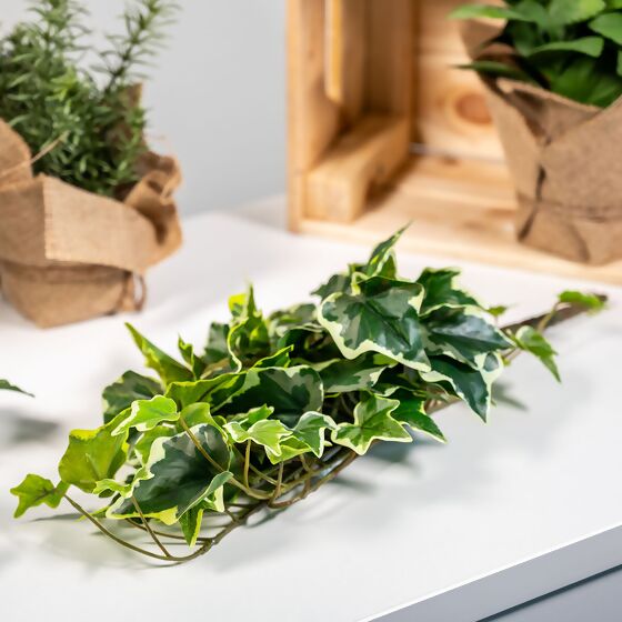 Kunstpflanze Efeuhänger, 45 cm, weiß-grün