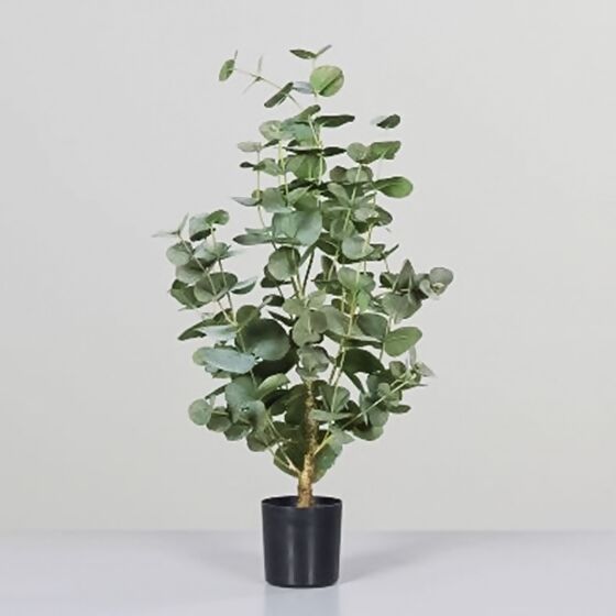 Kunstpflanze Eukalyptus im schwarzem Kunststofftopf, 70 cm