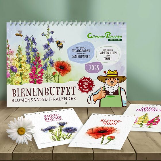 Einpflanzbarer Blumensaatgut-Kalender - Bienenbuffet