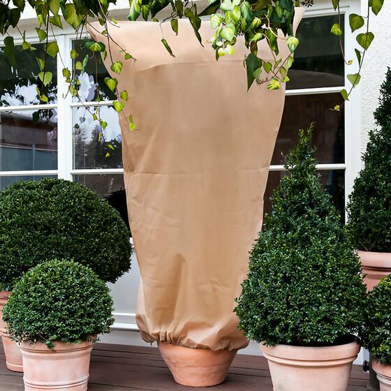 Kübelpflanzen-Sack 80x60 cm, 2er-Set, beige