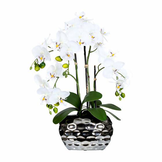 Kunstpflanze Phalaenopsis in Keramikvase, 55 cm, weiss