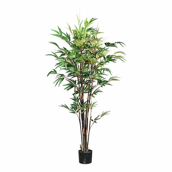 Kunstpflanze Bambus chinese wonder, 160 cm, rotgrün