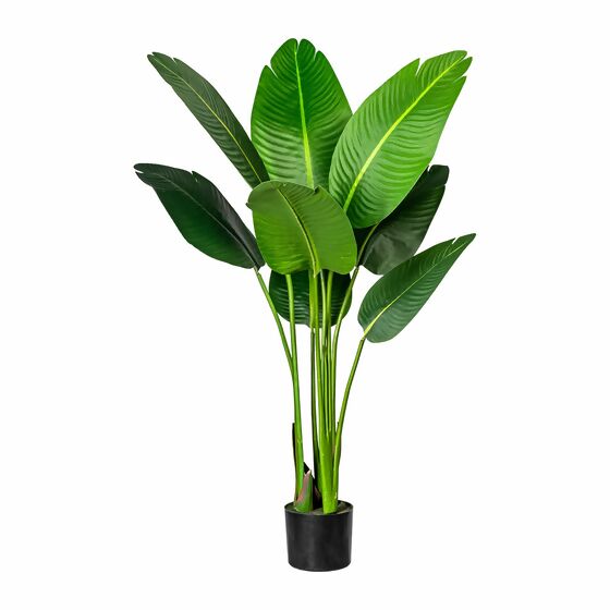 Kunstpflanze Strelitzia nicolai, 120 cm