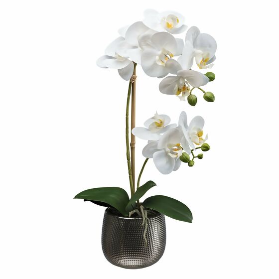 Kunstpflanze Phalaenopsis im Keramiktopf, 48 cm, weiß