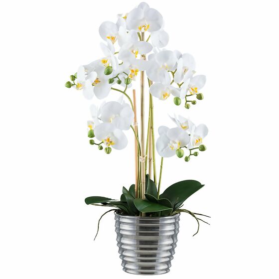Kunstpflanze Phalaenopsis im Keramiktopf, ca. 62 cm, weiß