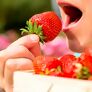 Erdbeere Fridulin Everlin | #1
