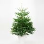 Weihnachtsbaum Nordmanntanne 150-175 cm, frisch geschlagen | #1
