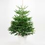 Weihnachtsbaum Nordmanntanne 175-200 cm, frisch geschlagen | #1