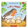 Kleine Wunder der Natur: Vom Ei zum Vogel | #1