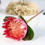 Kunstpflanze Protea, pink | #1