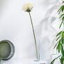 Kunstpflanze Agapanthus, 83 cm, creme | #1