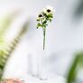 Kunstpflanze Anemone mit zwei Blüten, 50 cm | #1