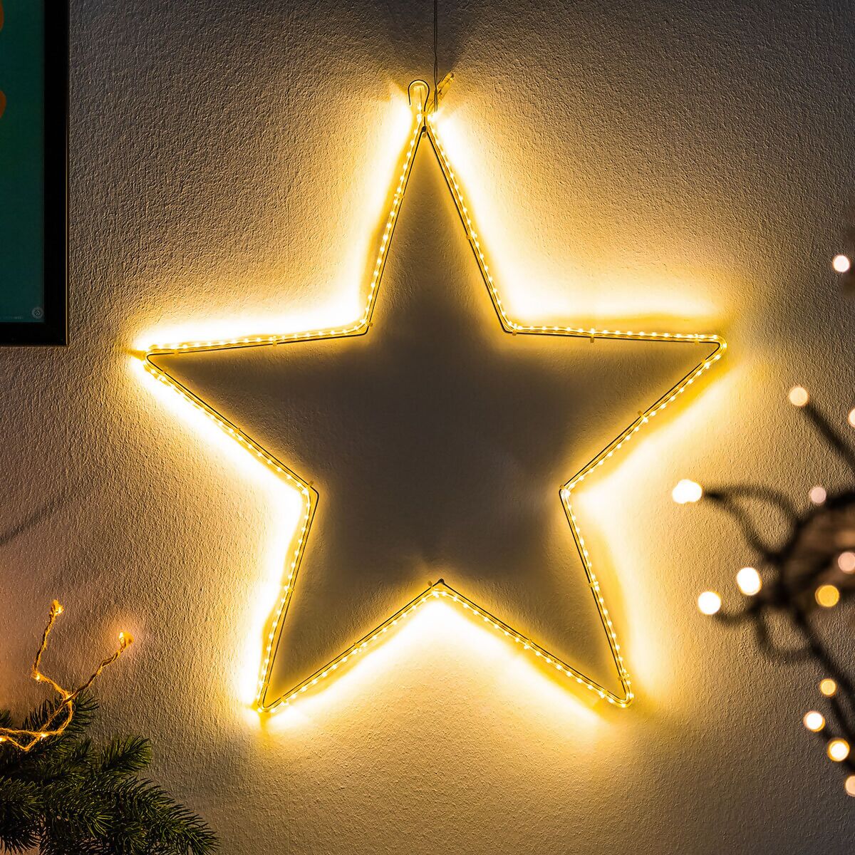 LED-Stern, 55 cm x 55 cm online kaufen bei Gärtner Pötschke | Beleuchtete Weihnachtssterne