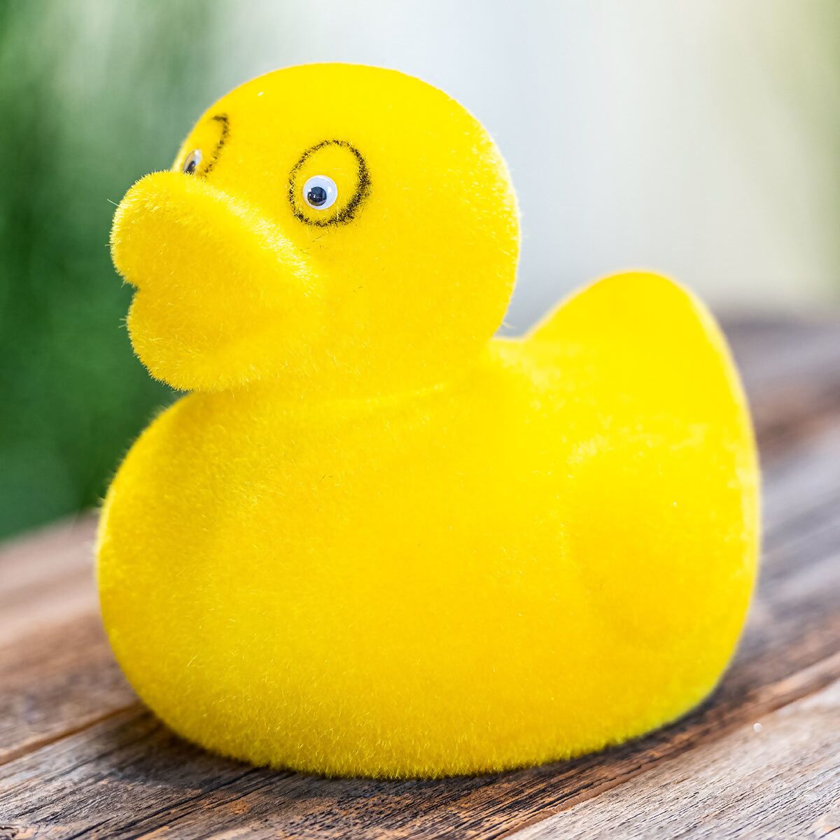 Deko-Ente Rubby, gelb online kaufen bei Gärtner Pötschke