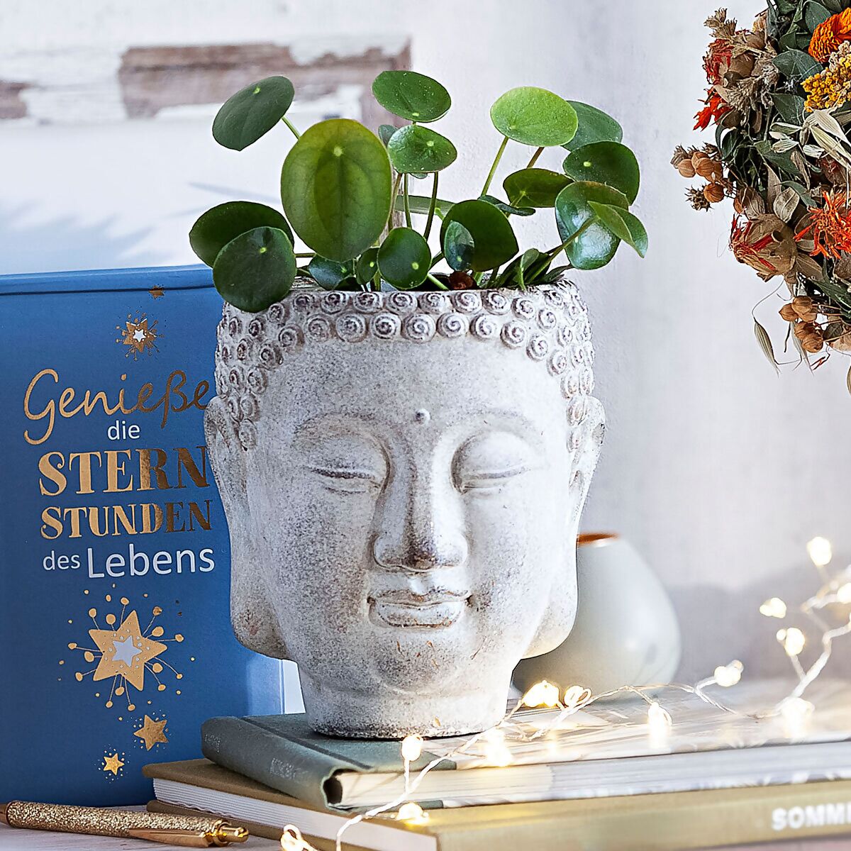 Übertopf Buddha, grau online kaufen bei Gärtner Pötschke