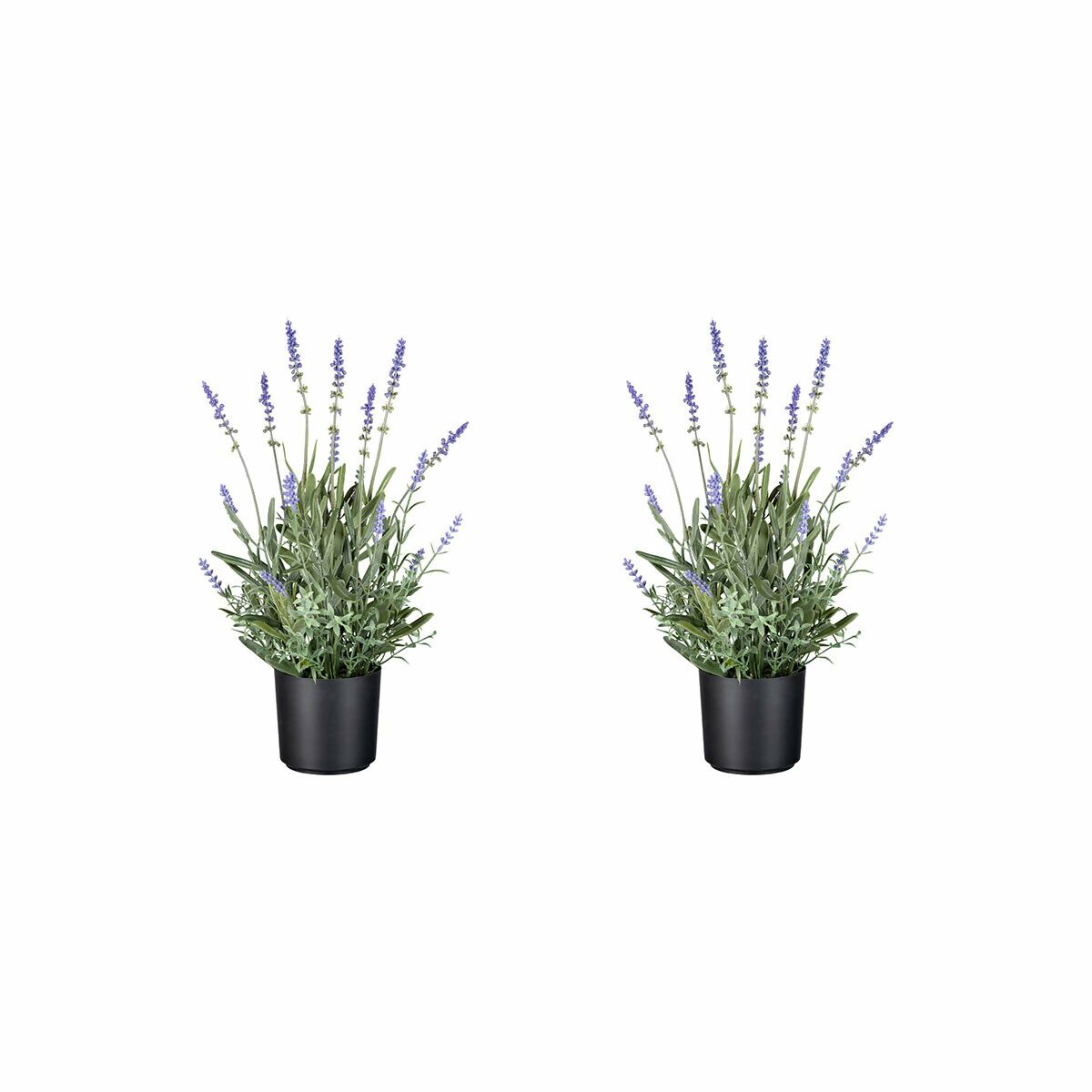 Kunstpflanze Lavendel, 2er-Set, 40 cm online kaufen bei Gärtner Pötschke