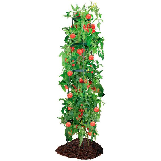 SMARTRICH Smart Rankhilfe für Tomaten Befestigungsclip Pflanzen 50 Stück Ranken Käfige Gemüse Tomaten Ranken Ranken Ranken Ranken 