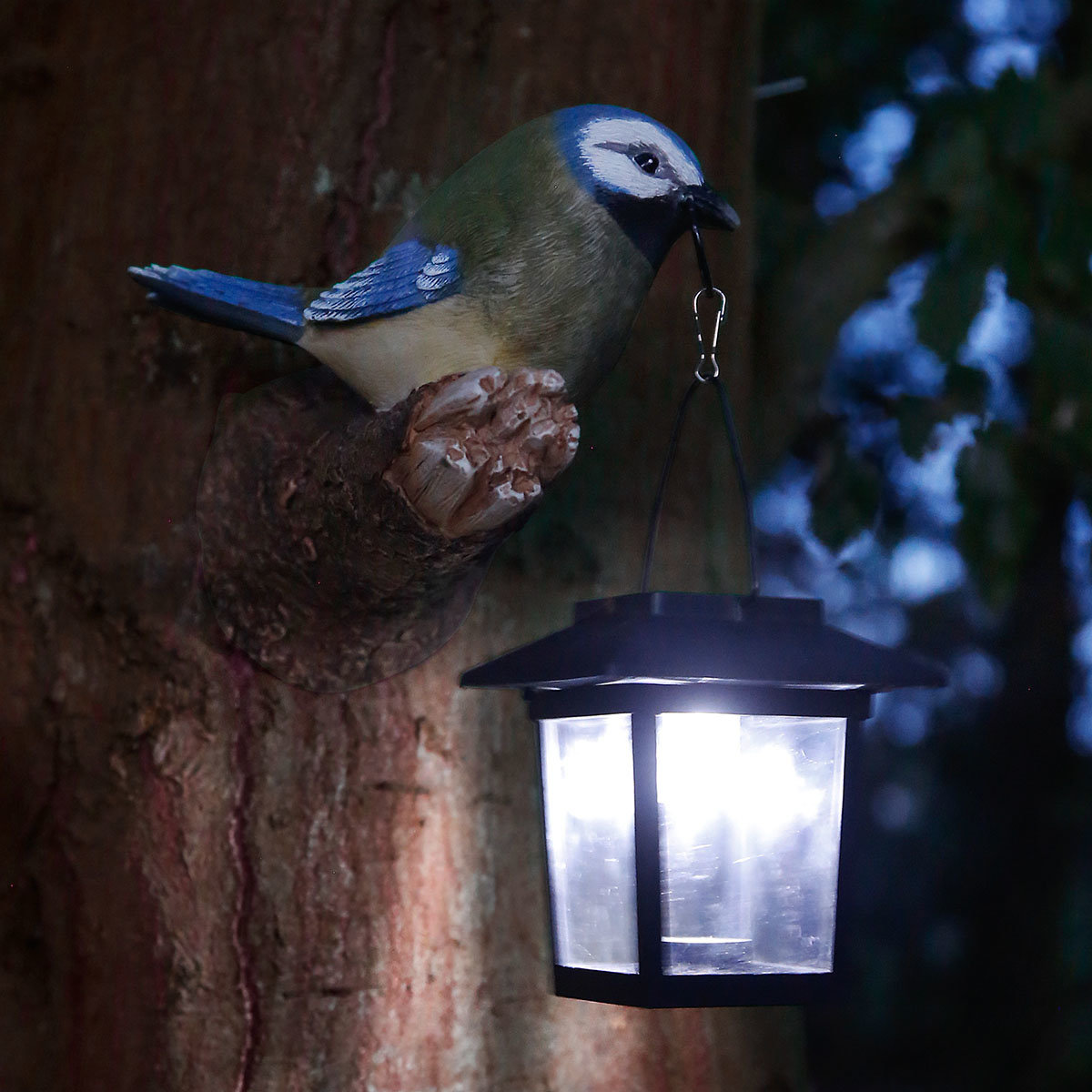 Solarlampe neugieriger Vogel, 16x11,5x17 cm, Polyresin
| #2