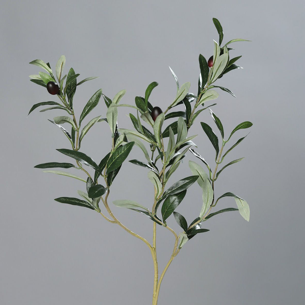 Kunstpflanze Olivenzweig
| #2