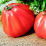 Tomatenpflanze Fleischtomate Corazon, verdelt | #2
