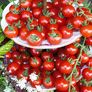 Tomatenpflanze Cherrytomate | #2