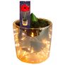 Amaryllis-Set: Amaryllis, Acrylglas-Vase, Moos, LED-Lichterkette, mit Batterien | #2