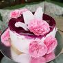 Essbare Culinaric Rose, rosa-apricot, im ca. 22 cm-Topf | #2