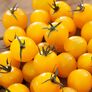 Tomatenpflanze Cherrytomate Solena Sweet Yellow, veredelt | #2
