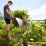 City Gardening Terrassen-Spiralschlauch, 7,5 m | #2