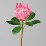 Kunstpflanze Protea, pink | #2