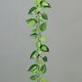 Kunstpflanze Efeututengirlande, 102 cm | #2