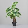 Kunstpflanze Philodendron, 85 cm | #2