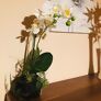 Kunstpflanze Orchidee Duo im Erdballen, weiß | #2