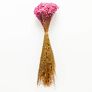 Trockenblumen- Bündel Glixia, pink | #2