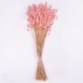 Trockenblumen-Bündel Lagurus, rosa, ca. 55 cm | #2