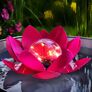 Solar-Schwimmdeko Lotus, pink | #2