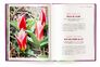 Floramour: Tulpen | #2