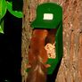Eichhörnchen Futterautomat, 25x28x13, Holz, grün | #2