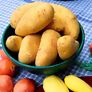 Kartoffel Cilena, 10 Stück | #2