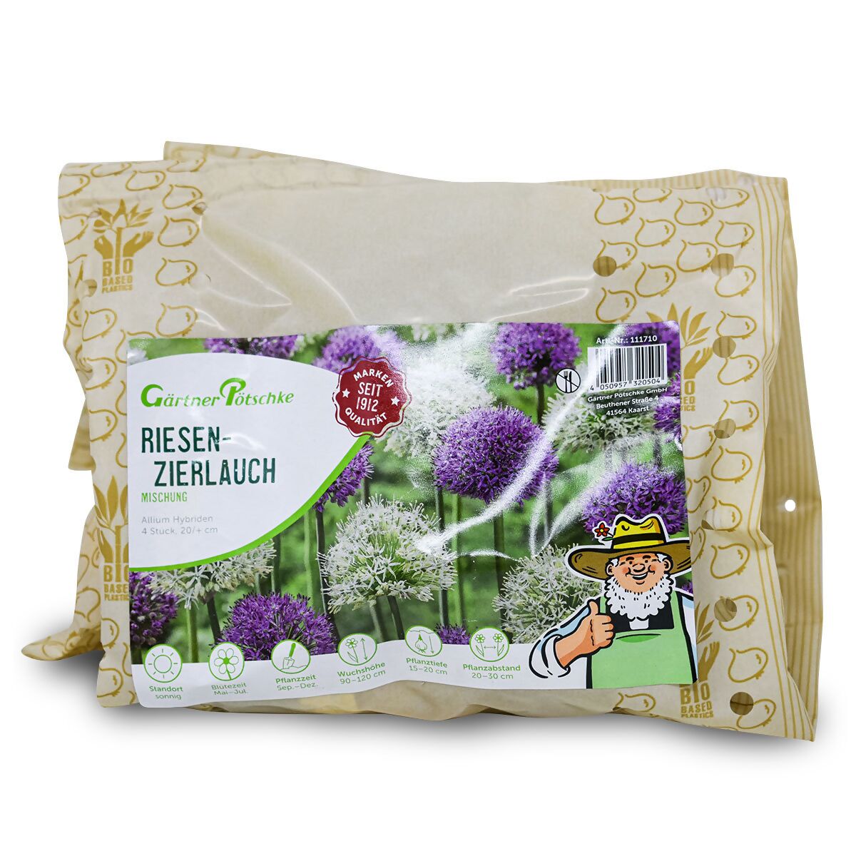 Blumenzwiebel-Set Riesenzierlauch online kaufen Pötschke Gärtner bei