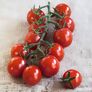 Tomatenpflanze Solena Sweet Red, veredelt | #3