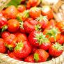 Vitanal für Erdbeeren, 1 Liter | #3