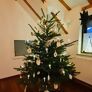 Weihnachtsbaum Nordmanntanne 100-150 cm, frisch geschlagen | #3